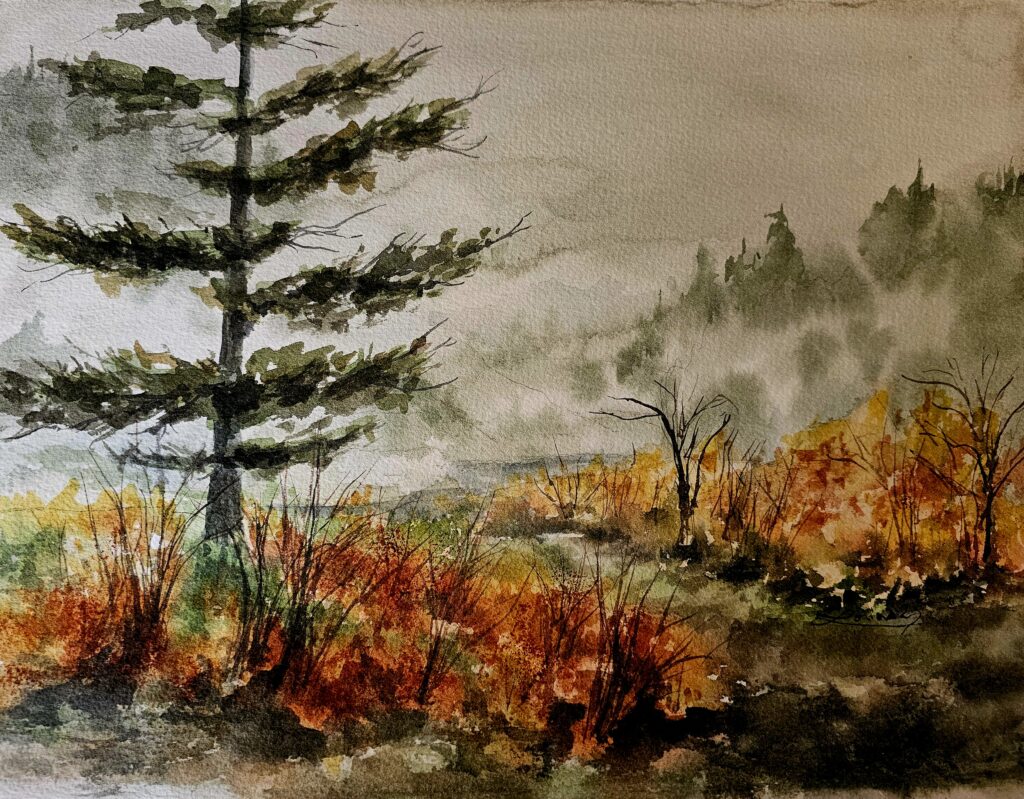 Goldstream Provincial Park